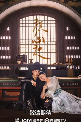 娄底seo优化服务商